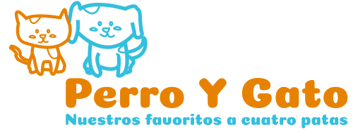 Perro-y-gato.es ❤️