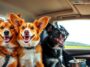 Perros en el coche